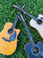 Electric guitar lsc