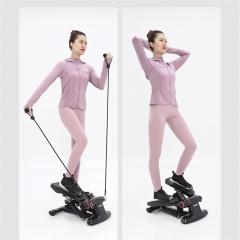 Stepper