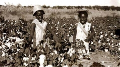Negro slaves