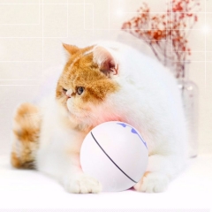 cat toy