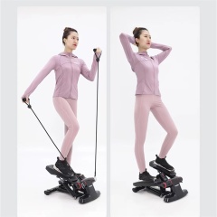 Stepper