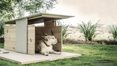 kennel