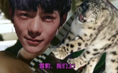 AlbumOfSnowLeopard