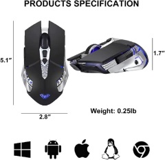 The mouse