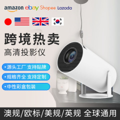Mini projector