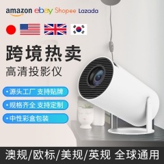 Mini projector