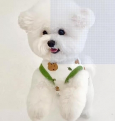 Small Pet Vest Summer Thin Style