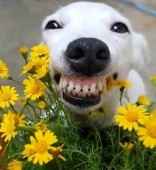 11111