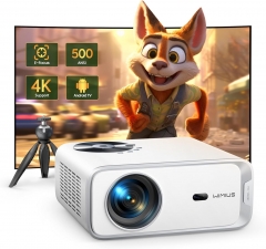 BIGProjector