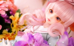 doll