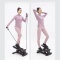 Stepper