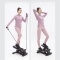Stepper
