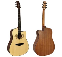 Fashionable and user-friendly student guitar