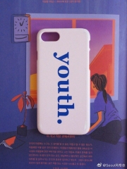 Phone case