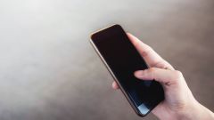 A safety of birds, beautiful and luxurious, the best choice, accompanying the mud home