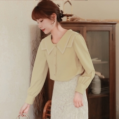 Autumn women's soft and versatile chiffon shirt