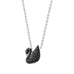 Exquisite Women's Necklace