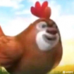 Chicken big backpack