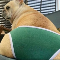 DOG'NEIKU
