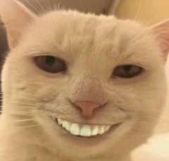 CAT'SMIEL