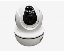 Pet cameras