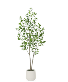 Artificial Ficus Tree 5ft with White Planter, Tall Fake Ficus Tree for Home Decor Indoor, Faux Ficus Floor Plant with Green Fake Moss for Office Living Room