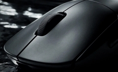 mouse