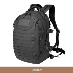 2024 New Cloth Leisure Travel Backpack Black Large Capacity Hot Sales