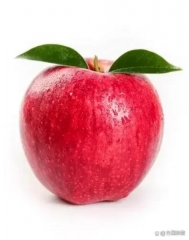 4546