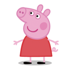 cute pig