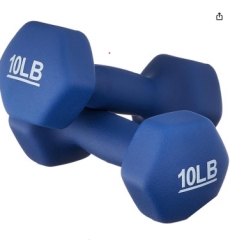 Amazon Basics Neoprene Dumbbell Hand Weights