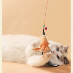 Wear a bell bite-resistant cat stick
