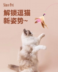Cat Teaser Stick