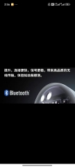 Wireless Bluetooth earphones