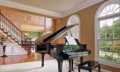 Electronic Piano Black Piano1988