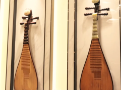 PIPA