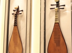 PIPA