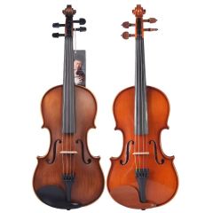 Elegant Violin with Superior Sound Quality for Sale
