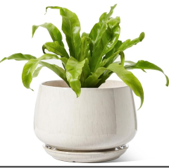 LE TAUCI Ceramic Planters, 10 Inch Pots for Plants, Indoor Plant Pots with Drainage Holes and Saucers, Modern Planters Fit Mid Century Plant Stand, Flower Pots for Indoor Plants, R
