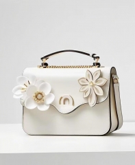 Ladies handbag