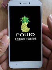 mobile phone