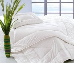 2024 New Warm and Thickened Quilt 95% White Goose Down Autumn and Winter Quilt Hot Sale