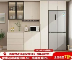 2024 New Refrigerator Cabinet Large Capacity White Hot Sale