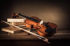violin