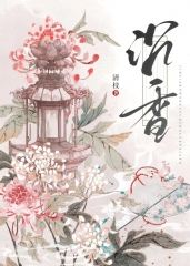 Novel Book 8