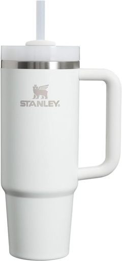 Insulated water cup