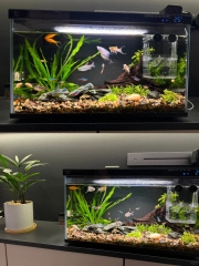 aquarium