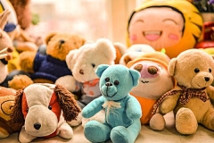 bear