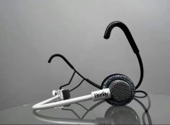 MIC