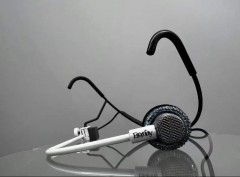 MIC